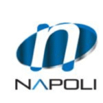 PT Napoleon Light Industries